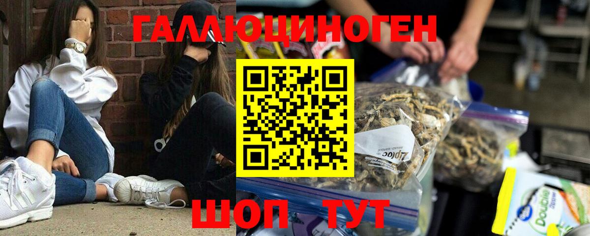 Псилоцибиновые грибы Cubensis Дмитров
