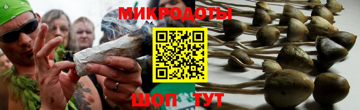 Галлюциногенные грибы Psilocybe  Вход с VPN  Дмитров  Галлюциногенные грибы мицелий 